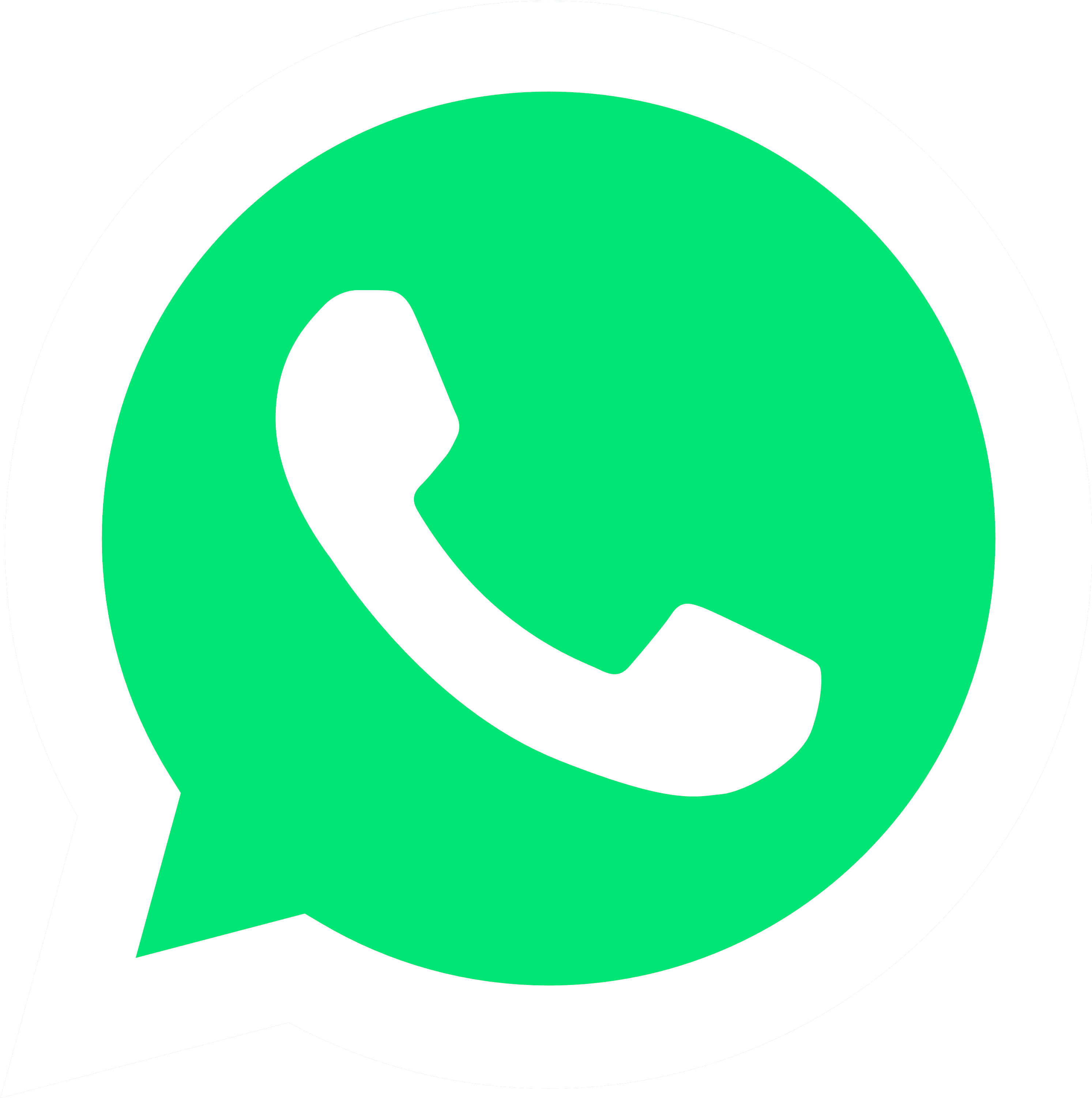 WhatsApp Icon